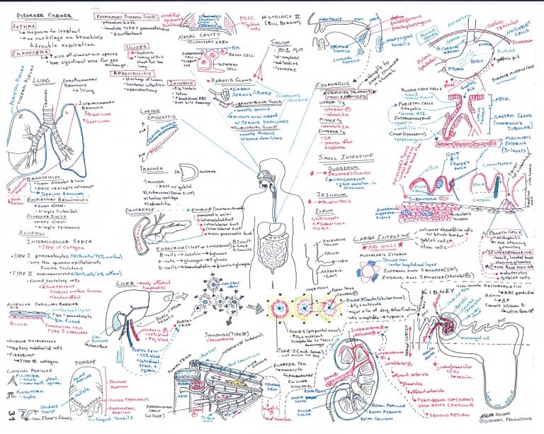 Vizniak GI & Lungs