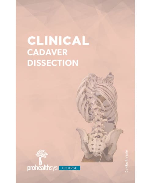 0201 – Clinical Cadaver Dissection