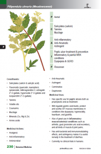 BotanicalMedicine_interior_page_230