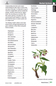 BotanicalMedicine_interior_page_31