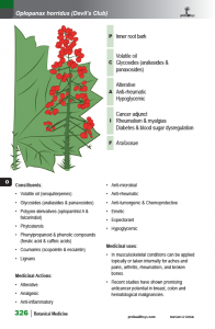 BotanicalMedicine_interior_page_326