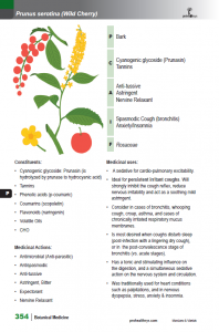 BotanicalMedicine_interior_page_354