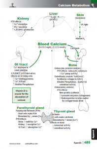 BotanicalMedicine_interior_page_485