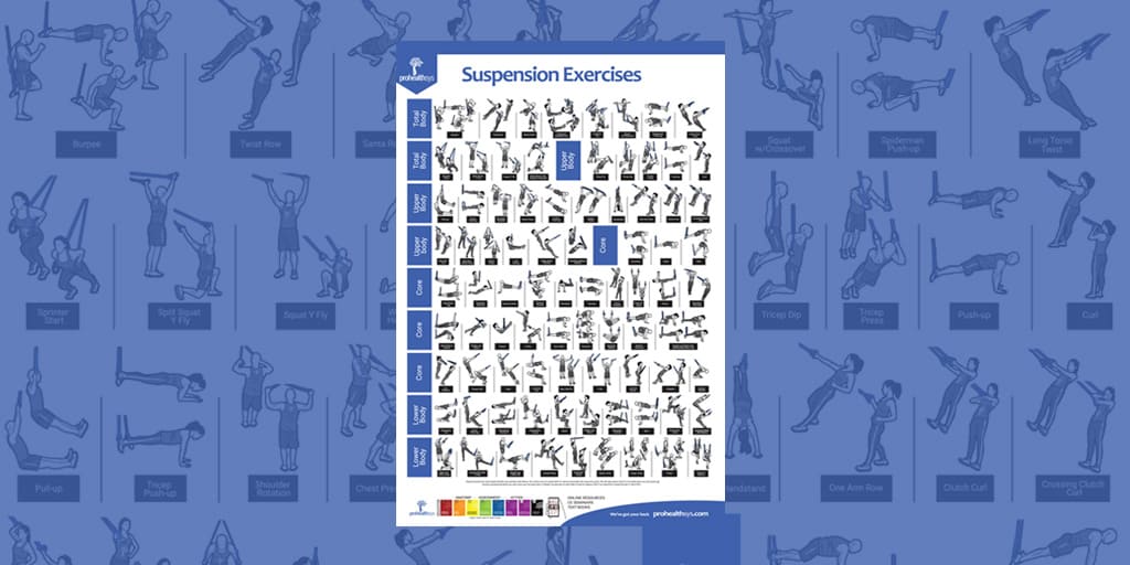 Workout Exercise Chart The Human Trainer Suspension Gym Workout Poster ...