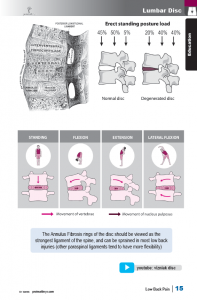 Low Back Pain Textbook Sample Pages