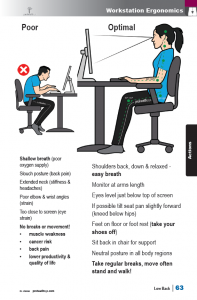 Low Back Pain Textbook Sample Pages