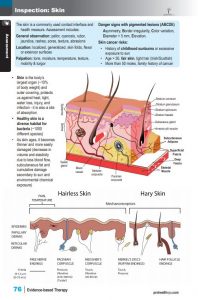 Massage Therapy Ebook sample pages