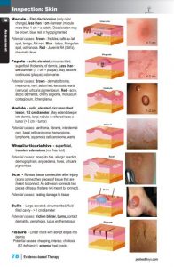 Massage Therapy Ebook sample pages