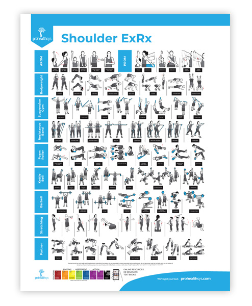 shoulder exercises chart