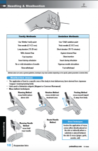 Acupuncture-sample-pg-10