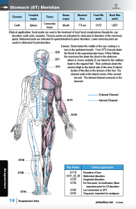 Acupuncture-sample-pg-18