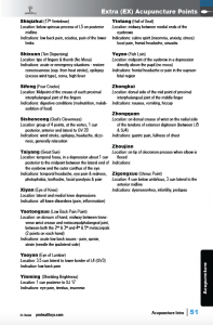Acupuncture-sample-pg-51