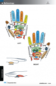 Acupuncture-sample-pg-58