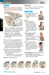 4 OC shoulder32