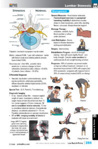7 OC Low Back pelvis43