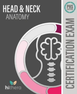 Head-Neck-Anatomy