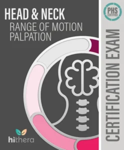 Head-Neck-Range-of-Motion-Palpation