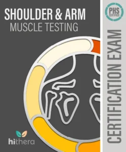 Shoulder-Arm-Muscle-Testing