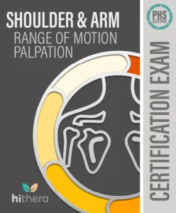 Shoulder-Arm-ROM-Palpation